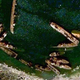 Illustration for article titled Can Azerbaijan Really Turn Its Polluted Bay into a Futuristic Resort?